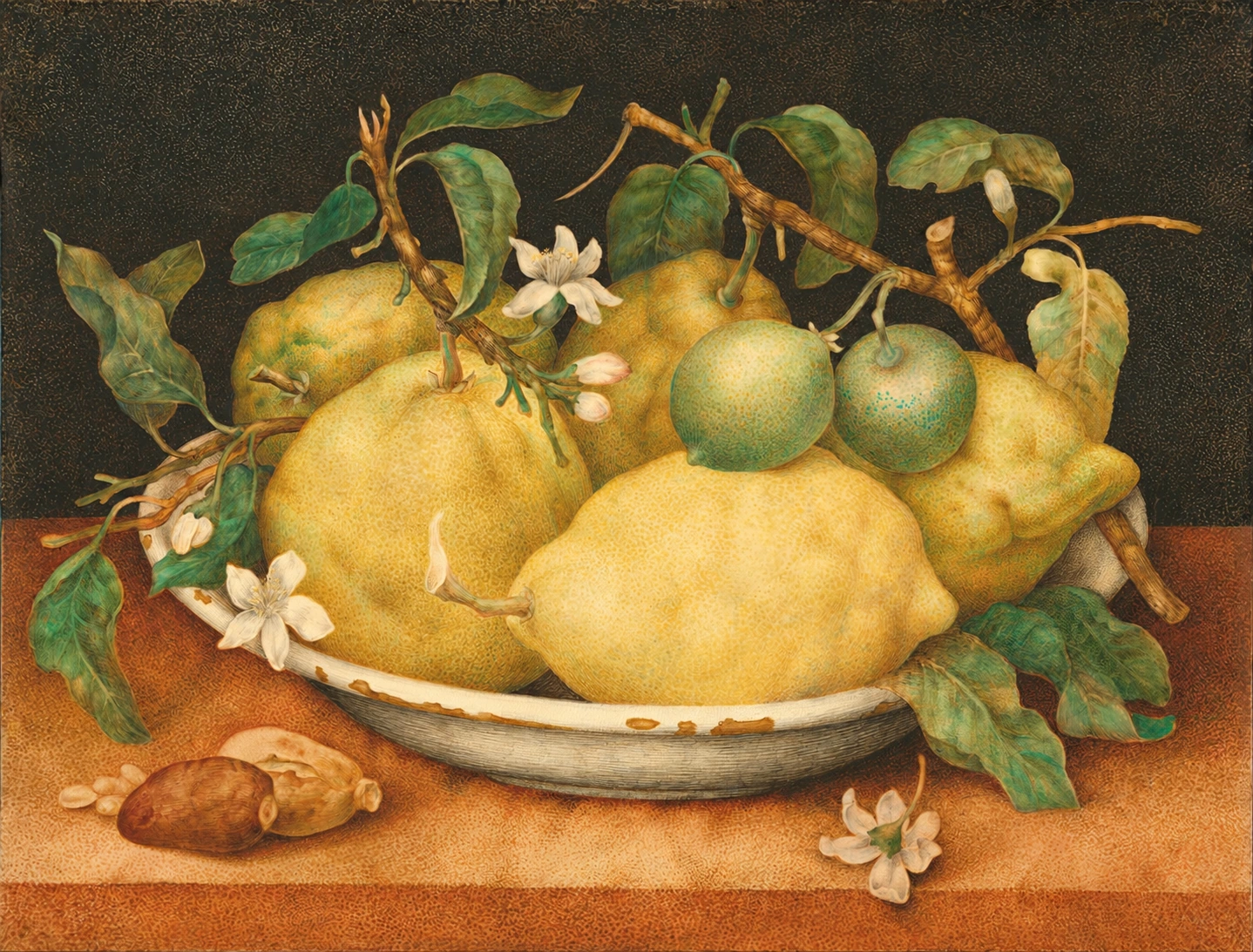 Retouched detail from Still Life with Bowl of Citrons by Giovanna Garzoni